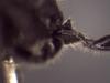 364791 – Photo : Daniel INGREMEAU – France (36)